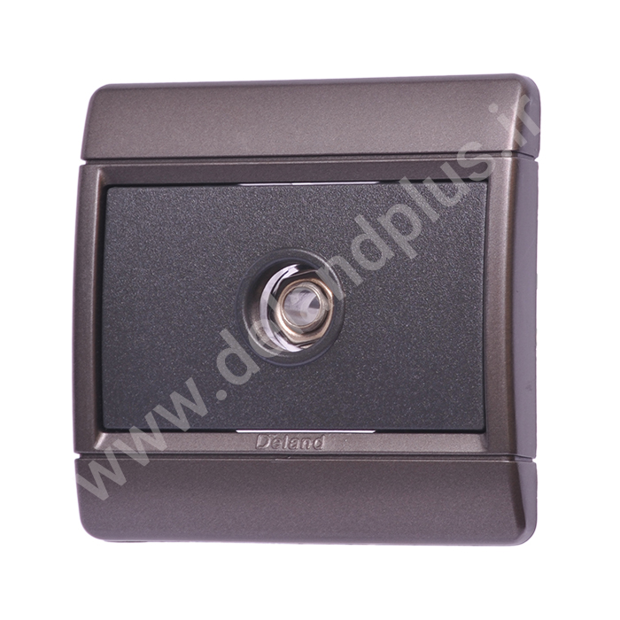 فیش بلندگو مدل رایان