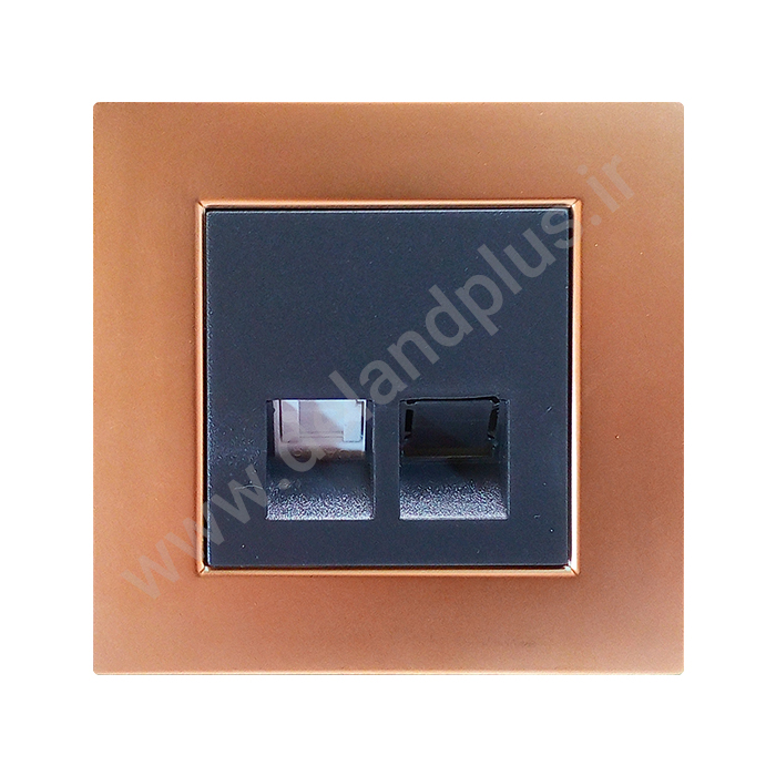 شبکه طلایی سوکت شبکه Cat6 مدل مکانیزم آسا طلایی